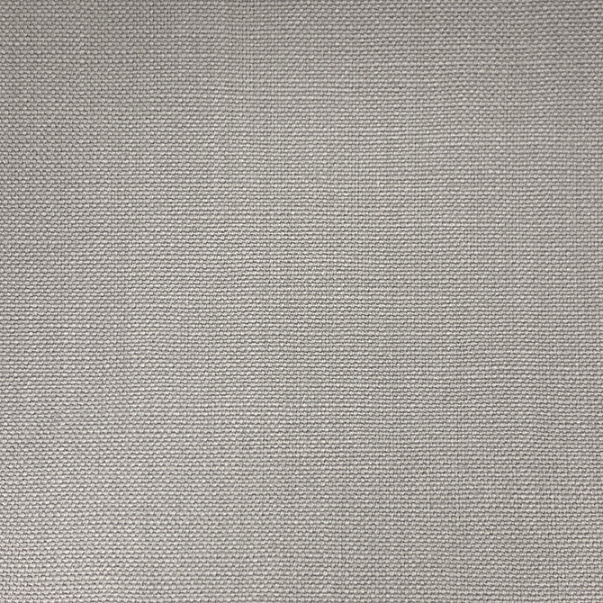 Magnolia Fabric Jagger Feather - 100% Cotton India 50000 Horizontal: 0 and Vertical: 0 54" - My Fabric Connection -