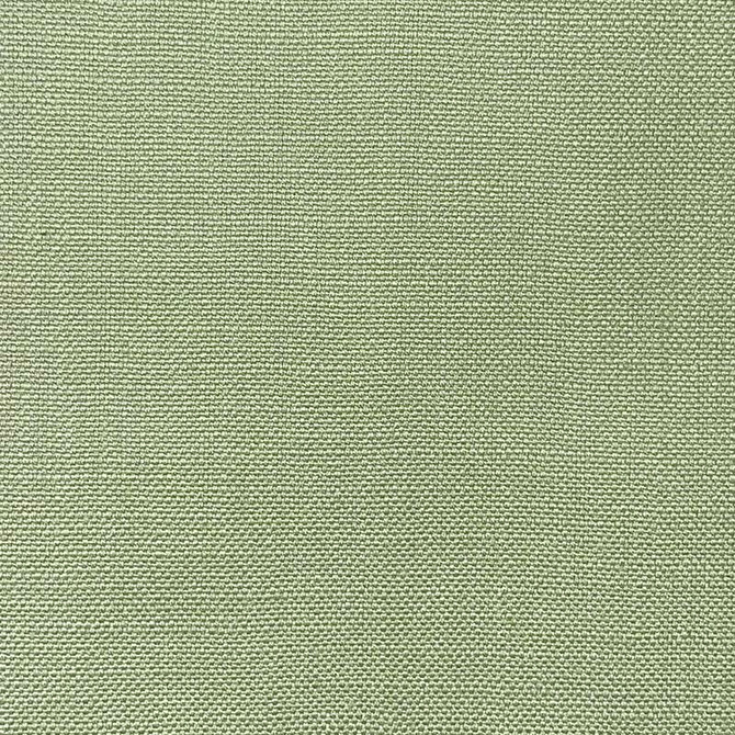 Magnolia Fabric Jagger Green Tea - 100% Cotton India 50000 Horizontal: 0 and Vertical: 0 54" - My Fabric Connection -