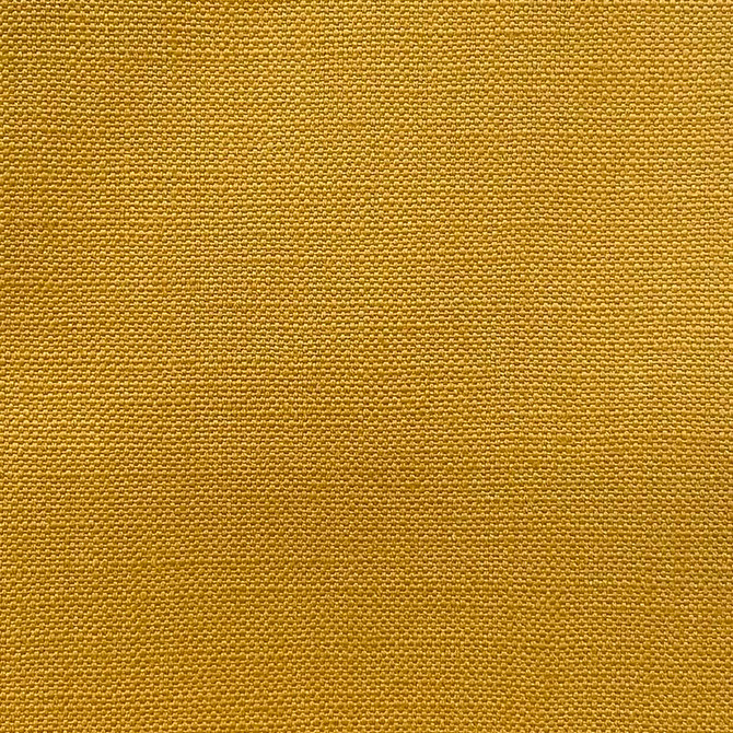 Magnolia Fabric Jagger Mustard - 100% Cotton India 50000 Horizontal: 0 and Vertical: 0 54" - My Fabric Connection -