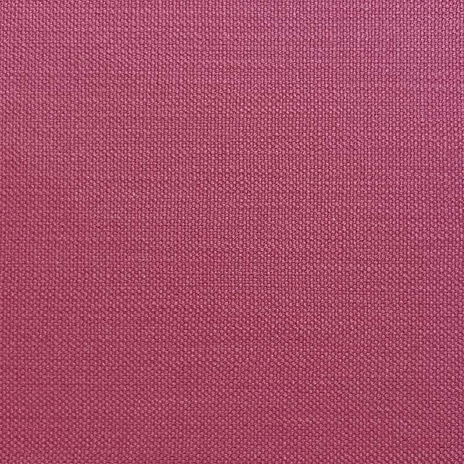 Magnolia Fabric Jagger Pink - 100% Cotton India 50000 Horizontal: 0 and Vertical: 0 54" - My Fabric Connection -