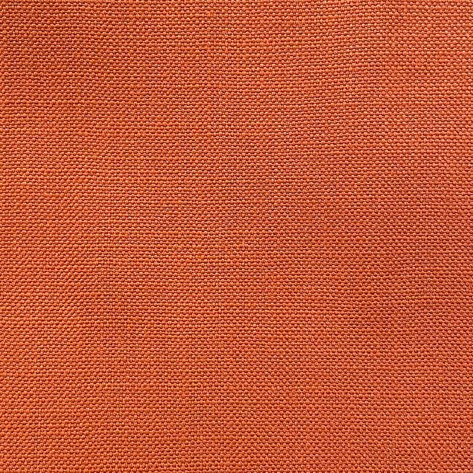 Magnolia Fabric Jagger Spice - 100% Cotton India 50000 Horizontal: 0 and Vertical: 0 54" - My Fabric Connection -