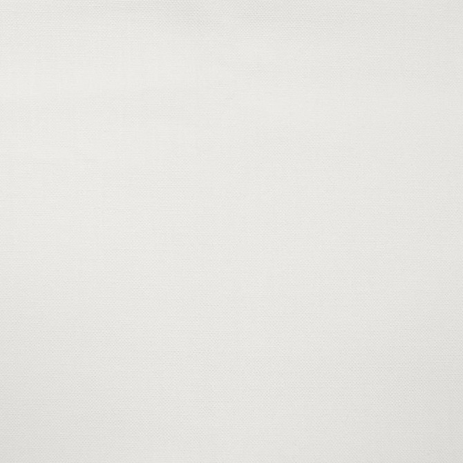 Magnolia Fabric Jagger White - 100% Cotton India 50000 Horizontal: 0 and Vertical: 0 54" - My Fabric Connection -