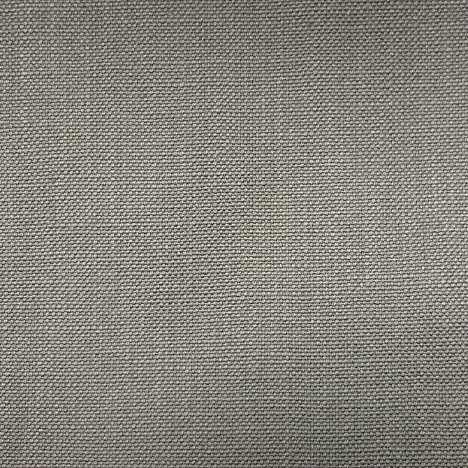 Magnolia Fabric Jagger Wolf - 100% Cotton India 50000 Horizontal: 0 and Vertical: 0 54" - My Fabric Connection -