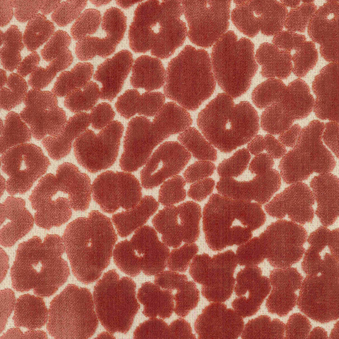 Magnolia Fabric Landon Salmon - 60Ray/40Poly Indonesia 37000 Horizontal: 14 and Vertical: 14 56" - My Fabric Connection -