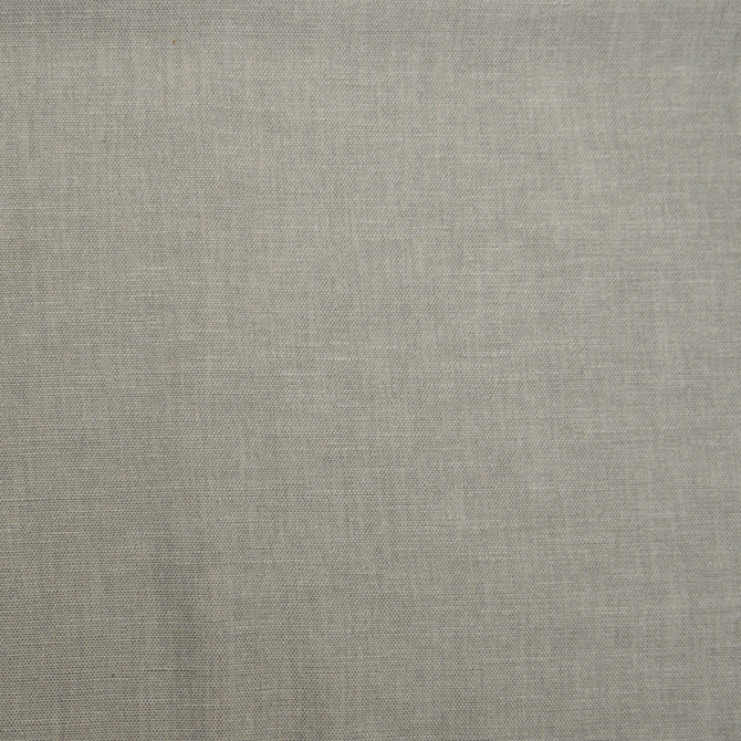 Magnolia Fabric Wilkes Magnet - 71 Polly/29 Cotton India 30000 Horizontal: 0 and Vertical: 0 54" - My Fabric Connection -