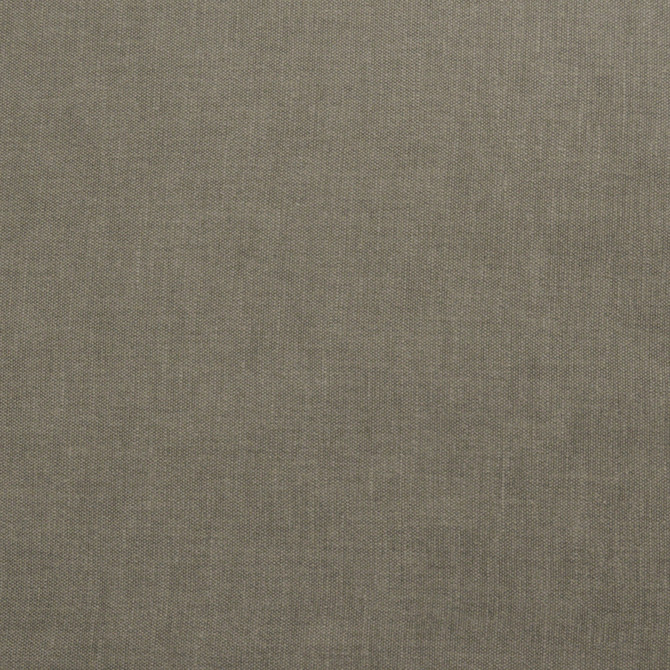 Magnolia Fabric Wilkes Wolf - 71 Polly/29 Cotton India 30000 Horizontal: 0 and Vertical: 0 54" - My Fabric Connection -