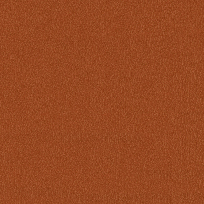 ABBEYSHEA Fabric Kendrick 44 Pumpkin Spice 100% Polyurethane (PU) China 500,000 Double Rubs (Wyzenbeek) </p><p>Repeat: Horizontal: and Vertical: 54" (137 cm) - My Fabric Connection -