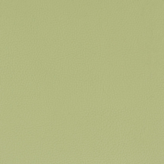 Stout Fabric Classic 8 Pistachio Fabric 80%Oth 20%Uv South Korea Wyzenbeek 100 000 Double Rub Wear Test (Heavy Duty) Performance Rated Fabric Flame Retardant-U.F.A.C. Class 1 Catb 117-2013 </p><p>Repeat: H: 0, V: 6.625 54 in - My Fabric Connection -