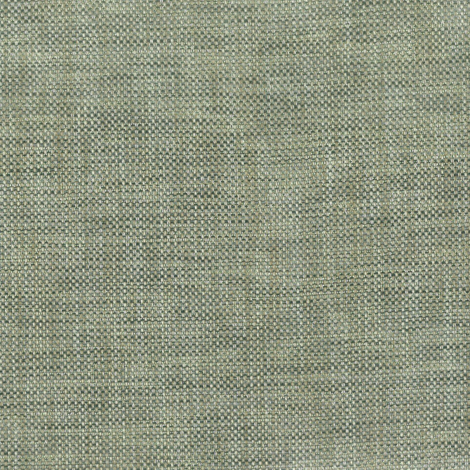 Stout Fabric Lotion 31 Basil COMFORTABLE LIVING ALOE/FERN 63%POL 35%SVI 2%ACR CHINA FLAME RETARDANT-U.F.A.C. CLASS 1 WYZENBEEK 51 000 DOUBLE RUB WEAR TEST (HEAVY DUTY) Horizontal: 0 and Vertical: 0 55 in - My Fabric Connection -