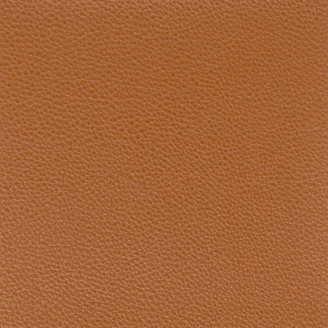 Stout Fabric Pitcher 7 Saddle LEATHER LOOKS IV 100%POL CHINA PERFORMANCE RATED FABRIC FLAME RETARDANT-U.F.A.C. CLASS 1 FLAME RETARDANT-N.F.P.A. 260A CLASS 1 CATB 117-2013 WYZENBEEK 100 000 DOUBLE RUB WEAR TEST (HEAVY DUTY) Horizontal: 0 and Vertical: 0 54 in - My Fabric Connection -