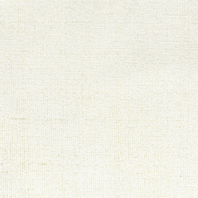 Stout Fabric Syracuse 1 Champagne COLOR MY WINDOW PEARL/DRIFTWOOD 50%COT 50%POL INDIA Horizontal: 0.000 and Vertical: 0.000 54 in - My Fabric Connection -