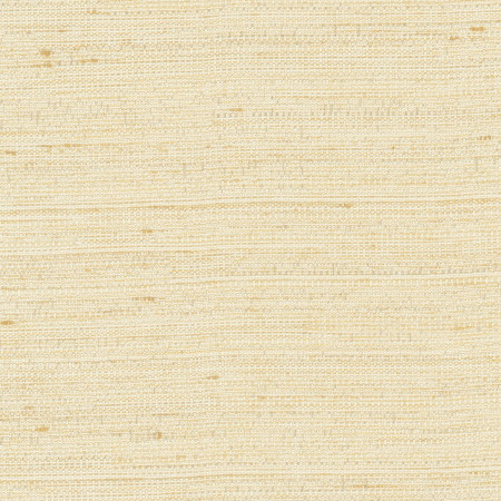 Carole Fabric Aiden Champagne Chestnut 100% Polyester India N/A Horizontal: None and Vertical: None 54" - My Fabric Connection -