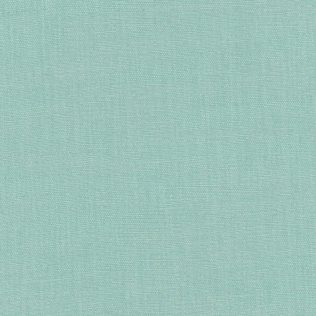 Carole Fabric Athlete Spa Celadon 60% Cotton, 40% Polyester India Passes 50,000 Double Rubs Wyzenbeek </p><p>Repeat: None 55" - My Fabric Connection -
