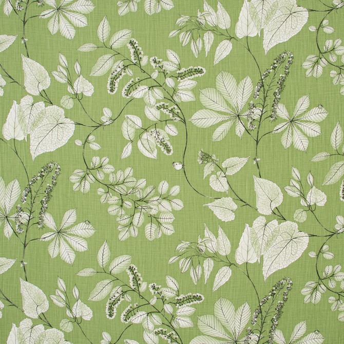 Carole Fabric Belong Together Grass Lemongrass 100% Cotton-SSR Printed & Finished in USA Passes 15,000 Double Rubs Wyzenbeek Horizontal: 27 and Vertical: 27 54 - My Fabric Connection -