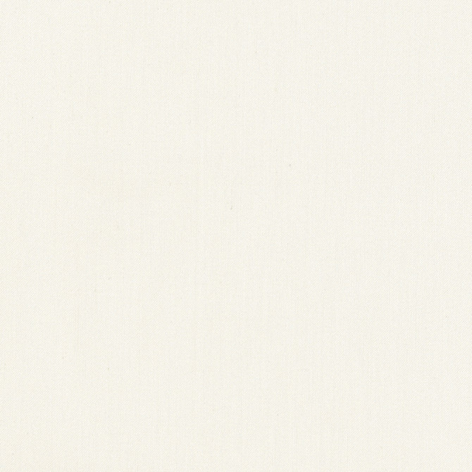 Carole Fabric Comfort Alabaster Daydreaming 100% Cotton India Passes 21,000 Double Rubs Wyzenbeek Horizontal: 0 and Vertical: 0 54 - My Fabric Connection -