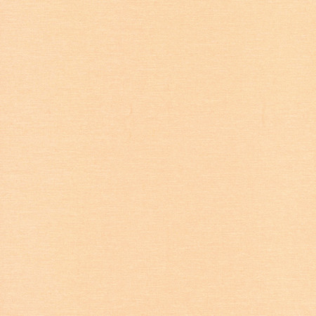 Carole Fabric Comfort Cashew Daydreaming 100% Cotton India None 54" - My Fabric Connection -