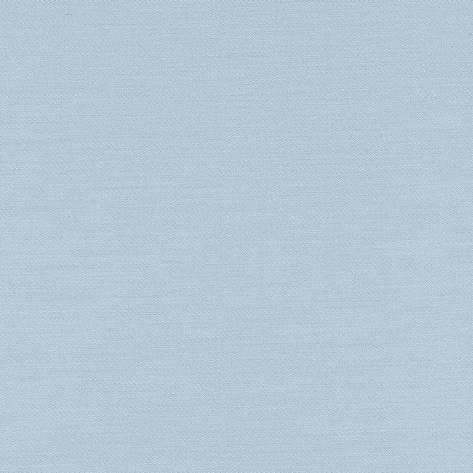 Carole Fabric Comfort French Daydreaming 100% Cotton India Passes 21,000 Double Rubs Wyzenbeek Horizontal: 0 and Vertical: 0 54 - My Fabric Connection -