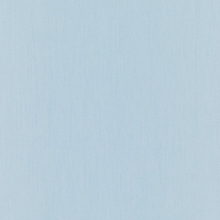 Carole Fabric Comfort Morning Daydreaming 100% Cotton India None 54" - My Fabric Connection -