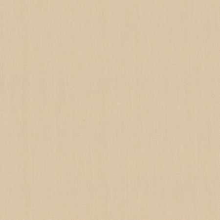 Carole Fabric Comfort Oatmeal Daydreaming 100% Cotton India None 54" - My Fabric Connection -