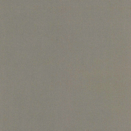 Carole Fabric Comfort Shale Daydreaming 100% Cotton India Passes 21,000 Double Rubs Wyzenbeek </p><p>Repeat: None 54" - My Fabric Connection -