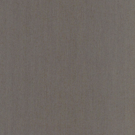 Carole Fabric Comfort Sterling Daydreaming 100% Cotton India Passes 21,000 Double Rubs Wyzenbeek Horizontal: None and Vertical: None 54" - My Fabric Connection -