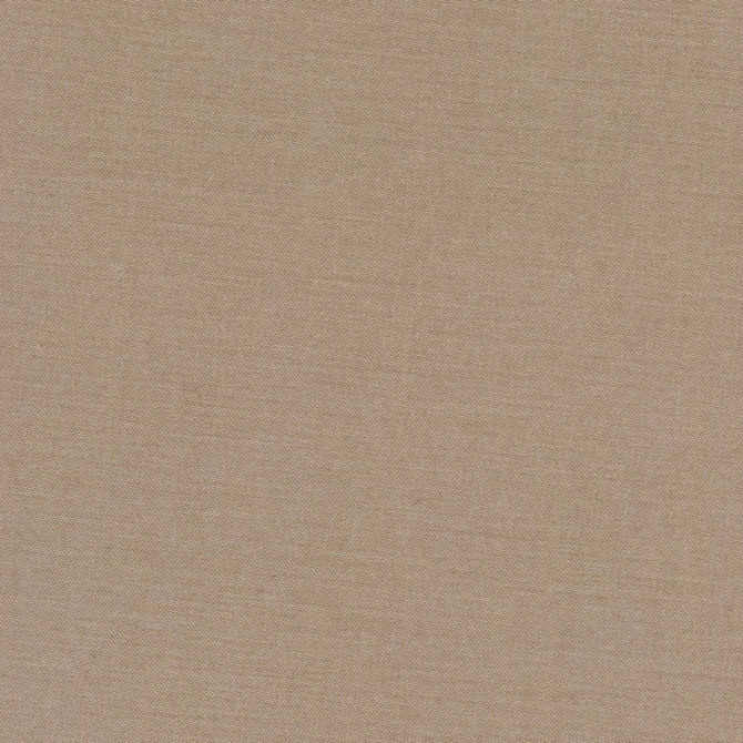 Carole Fabric Comfort Tawny Daydreaming 100% Cotton India Passes 21,000 Double Rubs Wyzenbeek Horizontal: 0 and Vertical: 0 54 - My Fabric Connection -