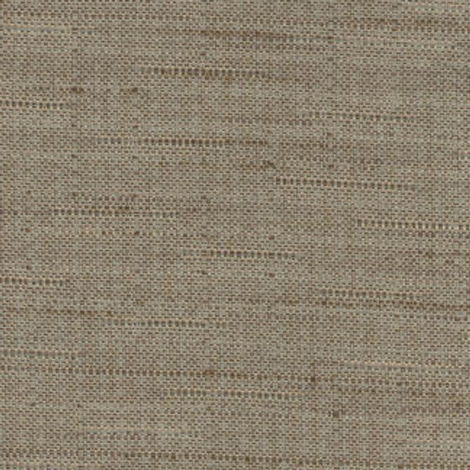 Carole Fabric Banksville Mushroom Bigelow 100% Polyester Mexico None 54" - My Fabric Connection -