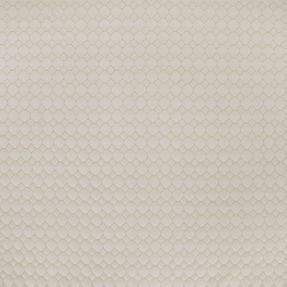 Carole Fabric City Dweller Taupe Park Cities 100% Polyester Turkey N/A </p><p>Repeat: 2" V, 1 5/8" H 54" - My Fabric Connection -