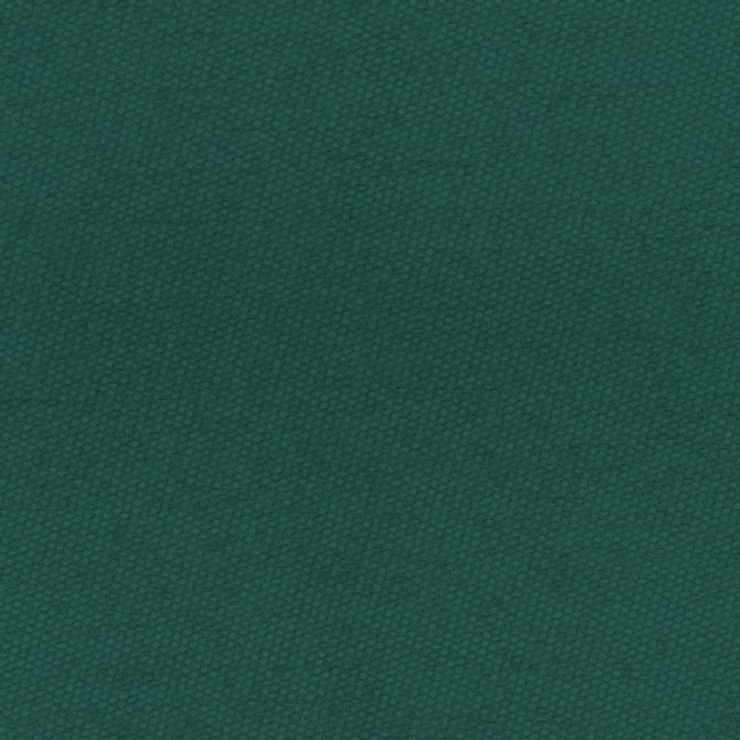 Carole Fabric Fact Finder Pine Celadon 100% Polyester Turkey Passes 40,000 Double Rubs Wyzenbeek Horizontal: None and Vertical: None 59" - My Fabric Connection -