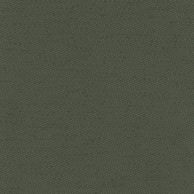 Carole Fabric Fact Finder Seaweed Celadon 100% Polyester Turkey Passes 40,000 Double Rubs Wyzenbeek Horizontal: 0 and Vertical: 0 59 - My Fabric Connection -