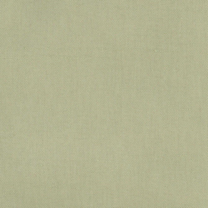 Carole Fabric Fleeting Basil Royale 100% Polyester India Passes 50,000 Double Rubs Wyzenbeek Horizontal: 0 and Vertical: 0 54 - My Fabric Connection -