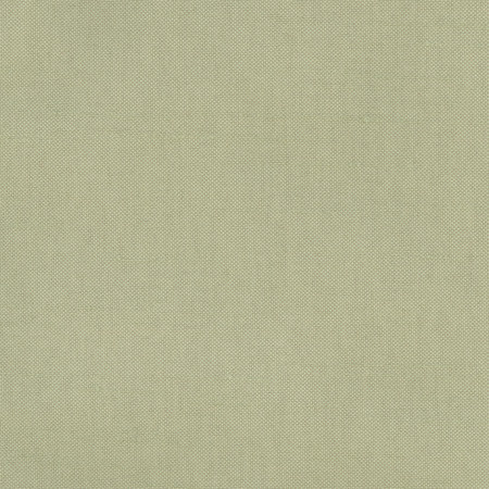 Carole Fabric Fleeting Basil Royale 100% Polyester India None 54" - My Fabric Connection -