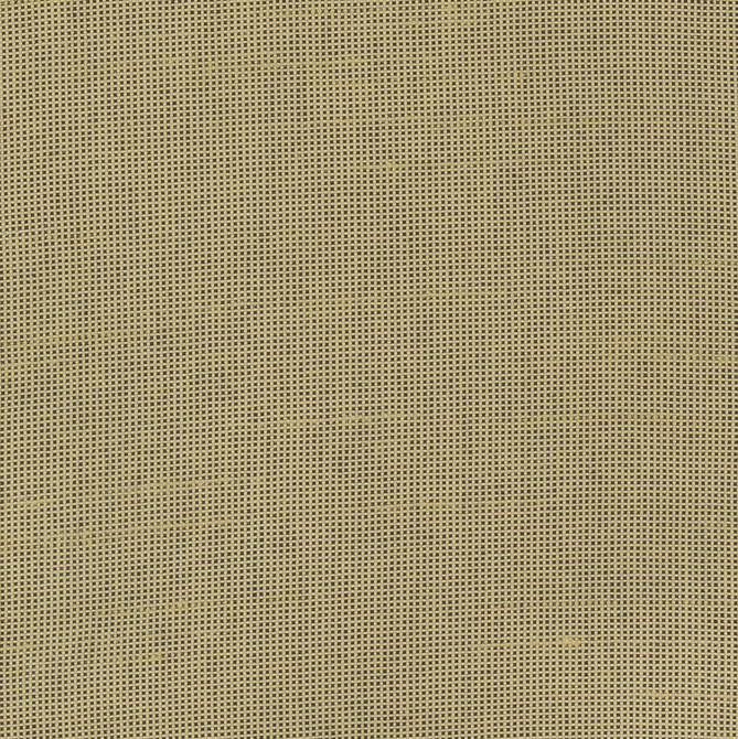 Carole Fabric Fleeting Cashew Royale 100% Polyester India Passes 50,000 Double Rubs Wyzenbeek Horizontal: 0 and Vertical: 0 54 - My Fabric Connection -
