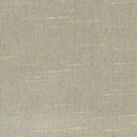 Carole Fabric Fleeting Sand Royale 100% Polyester India Passes 50,000 Double Rubs Wyzenbeek </p><p>Repeat: None 54" - My Fabric Connection -