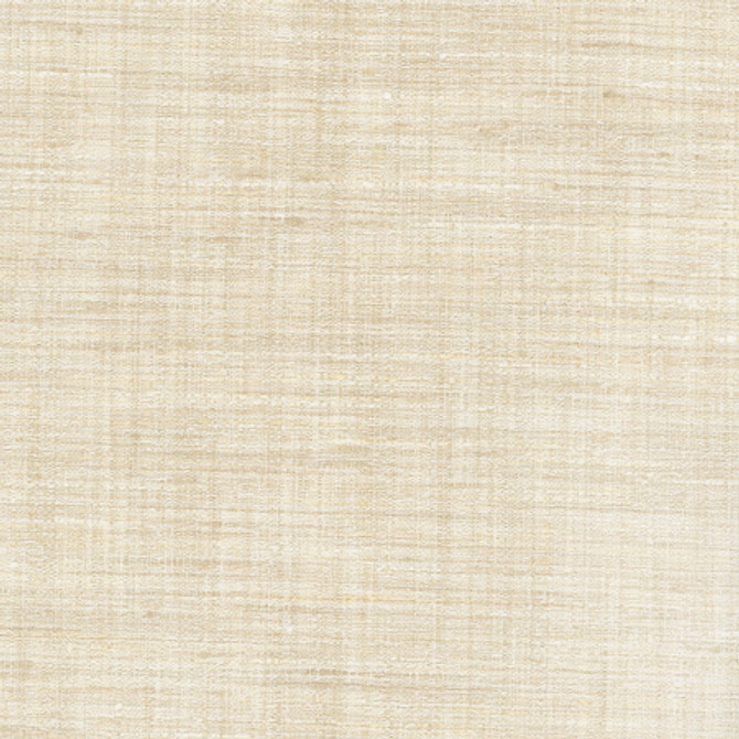 Carole Fabric Gear Up Vanilla Chestnut 100% Polyester India None 5475" - My Fabric Connection -