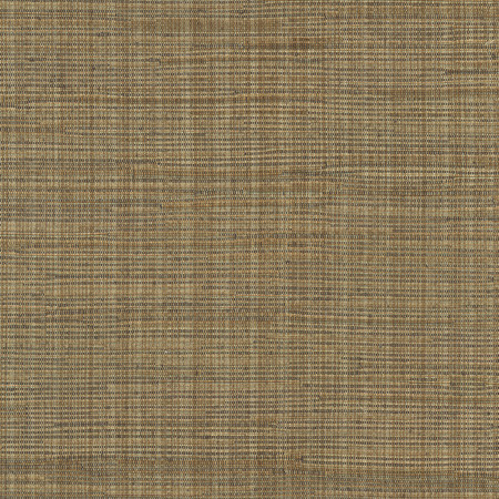 Carole Fabric High Dive Mocha Excursion 52% Polyester, 48% Cotton India 25,000 Wyzenbeek Double Rubs Horizontal: None and Vertical: None 54" - My Fabric Connection -