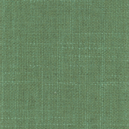 Carole Fabric Autumn Breeze Kelly Green On POint 36% Polyester, 26% Cotton, 22% Viscose, 16% Linen CHINA None 56" - My Fabric Connection -