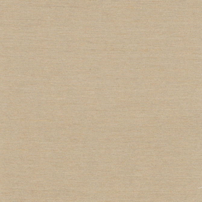 Carole Fabric Northwind Tussah New Northwind Iv 100% Polyester India Passes 9,000 Double Rubs Wyzenbeek Horizontal: 0 and Vertical: 0 54 - My Fabric Connection -