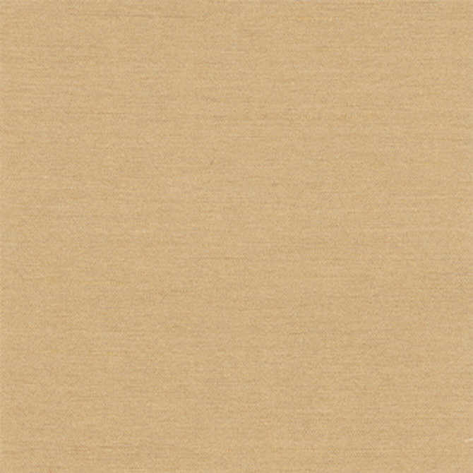 Carole Fabric Northwind Tussah New Northwind III,New Northwind IV,New Northwind IV,Northwind V 100% Polyester India None 54" - My Fabric Connection -