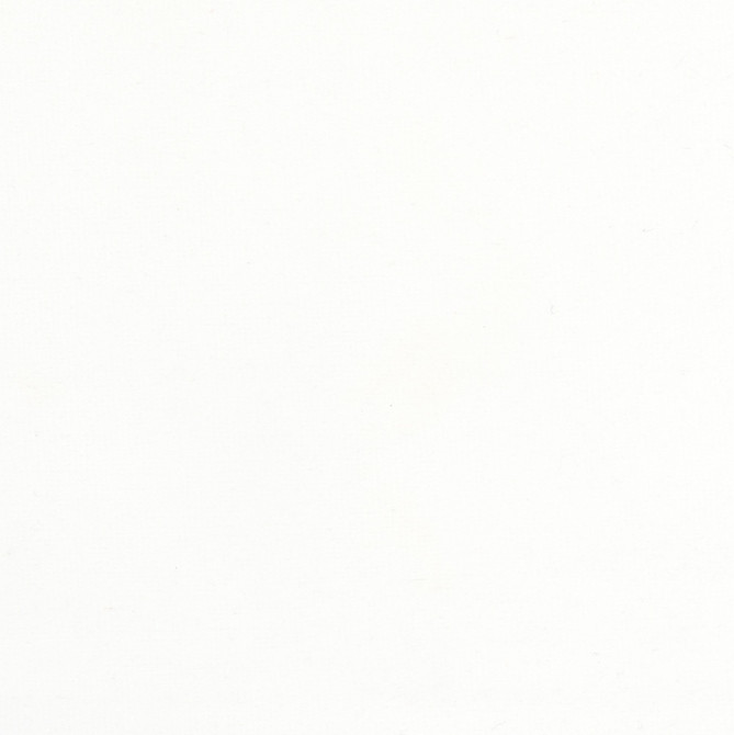 Carole Fabric Plush Touch Snow Touch Of Luxury 100% Polyester Knit Backing China 235,000 Wyzenbeek Double Rubs Horizontal: 0 and Vertical: 0 55 - My Fabric Connection -