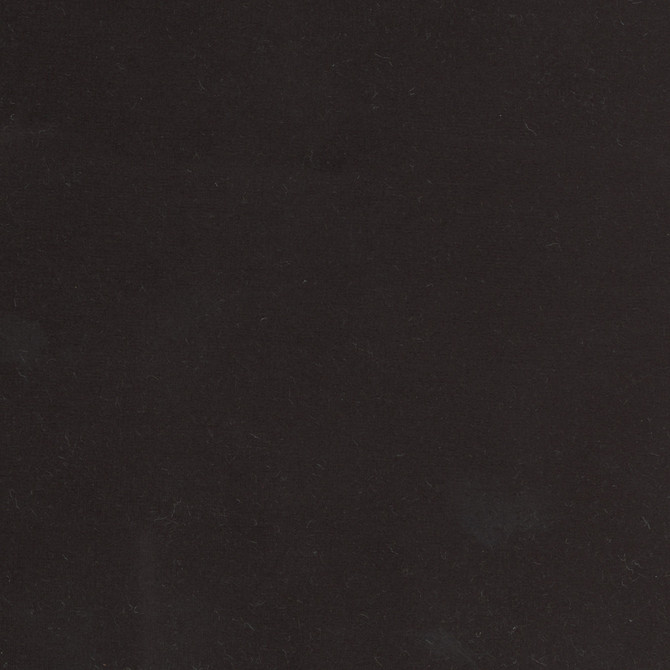 Carole Fabric Plush Touch Black Touch Of Luxury 100% Polyester Knit Backing China 235,000 Wyzenbeek Double Rubs Horizontal: 0 and Vertical: 0 55 - My Fabric Connection -