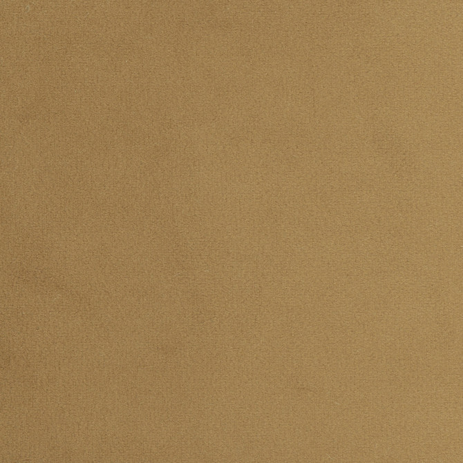 Carole Fabric Plush Touch Camel Touch Of Luxury 100% Polyester Knit Backing China 235,000 Wyzenbeek Double Rubs Horizontal: 0 and Vertical: 0 55 - My Fabric Connection -