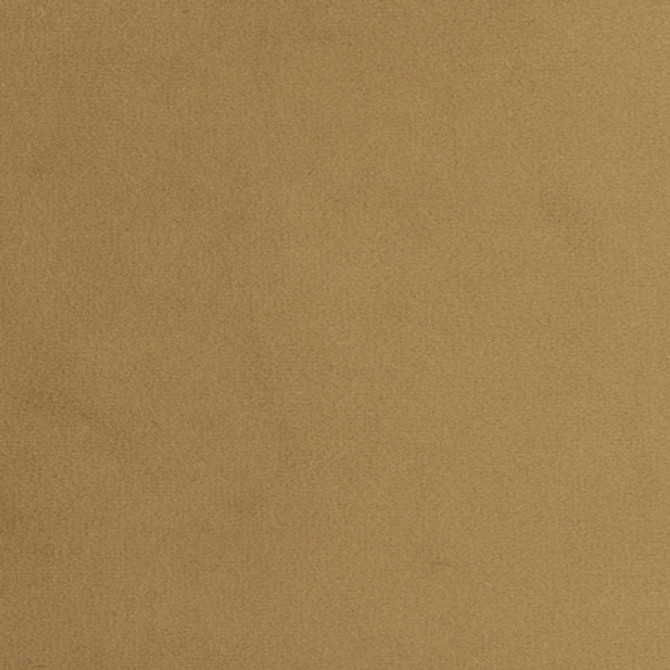 Carole Fabric Plush Touch Camel Touch Of Luxury 100% Polyester Knit Backing China 235,000 Wyzenbeek Double Rubs Horizontal: None and Vertical: None 55" - My Fabric Connection -