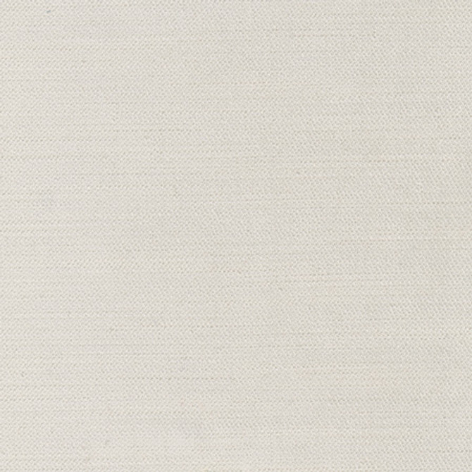 Carole Fabric Regal Touch Silver Touch Of Luxury 100% Polyester Turkey 15,000 Wyzenbeek Double Rubs Horizontal: None and Vertical: None 55" - My Fabric Connection -