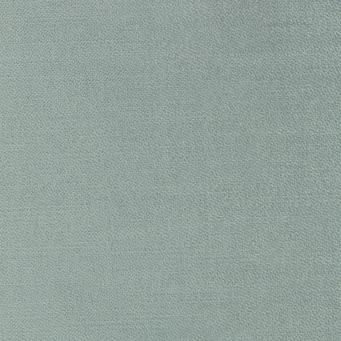 Carole Fabric Regal Touch Lichen Touch Of Luxury 100% Polyester Turkey 15,000 Wyzenbeek Double Rubs Horizontal: 0 and Vertical: 0 55 - My Fabric Connection -