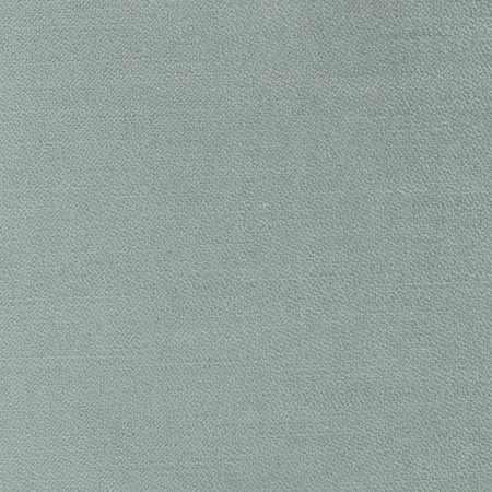 <p>Carole Fabric Regal Touch Lichen</p><p><strong>Required Minimum Quantity Purchase: 2 yards</strong></p><p>Book: Touch Of Luxury,Warm Embrace</p><p>Content: 100% Polyester</p><p>Origin: </p><p>Performance: 15,000 Wyzenbeek Double Rubs</p><p>Repeat: None</p><p>Width: 55"</p>
