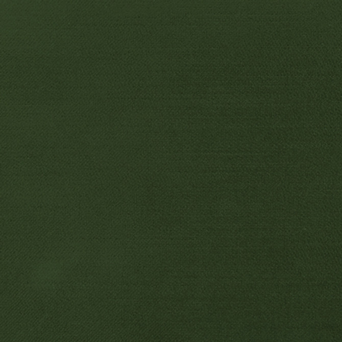 <p>Carole Fabric Regal Touch Kale</p><p><strong>Required Minimum Quantity Purchase: 2 yards</strong></p><p>Book: Touch Of Luxury,Warm Embrace</p><p>Content: 100% Polyester</p><p>Origin: </p><p>Performance: 15,000 Wyzenbeek Double Rubs</p><p>Repeat: None</p><p>Width: 55"</p>
