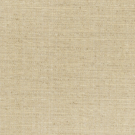 Carole Fabric Rock Wall Cashew Chestnut 83% Polyester, 12% Cotton, 5% Rayon India None 55" - My Fabric Connection -