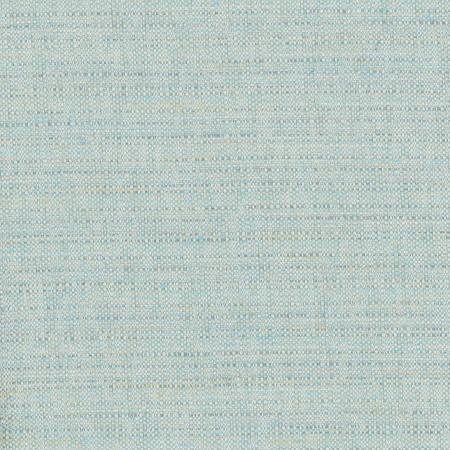 Carole Fabric Rock Wall Caribe Celadon 83% Polyester, 12% Cotton, 5% Rayon India N/A Horizontal: None and Vertical: None 55" - My Fabric Connection -