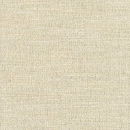 Carole Fabric Say Yes Glint WINNER'S CIRCLE 78% Polyester, 22% Viscose India N/A Horizontal: None and Vertical: None 55" - My Fabric Connection -